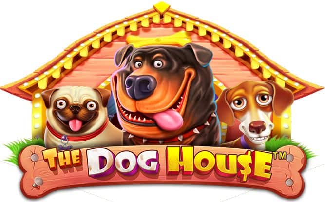 the-dog-house